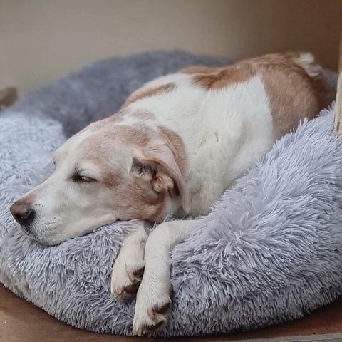Fluffy Calming Pet Bed Anti Anxiety Plush Dog Cushion