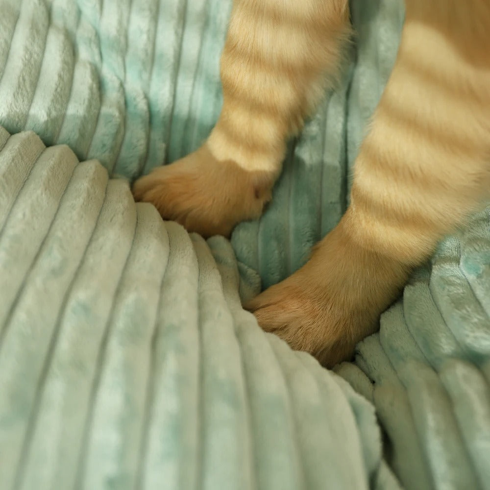 Orthopedic Dog Bed Plush Cushion Removable Washable Cover
