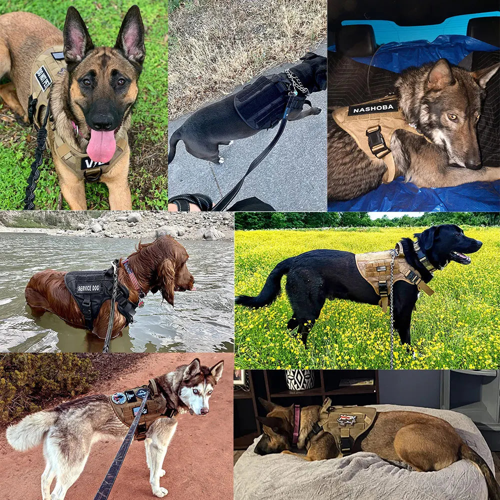 Tactical Dog Harness Adjustable Military Training Vest