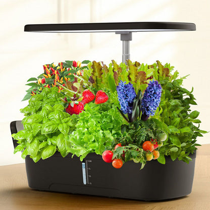 12 Pod Hydroponic Growing System Indoor Garden Kit LED Grow Light Smart Planter