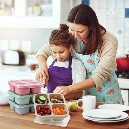 4-Pack Bento Meal Prep Containers with 4 Compartments