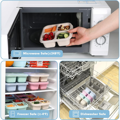 4-Pack Bento Meal Prep Containers with 4 Compartments