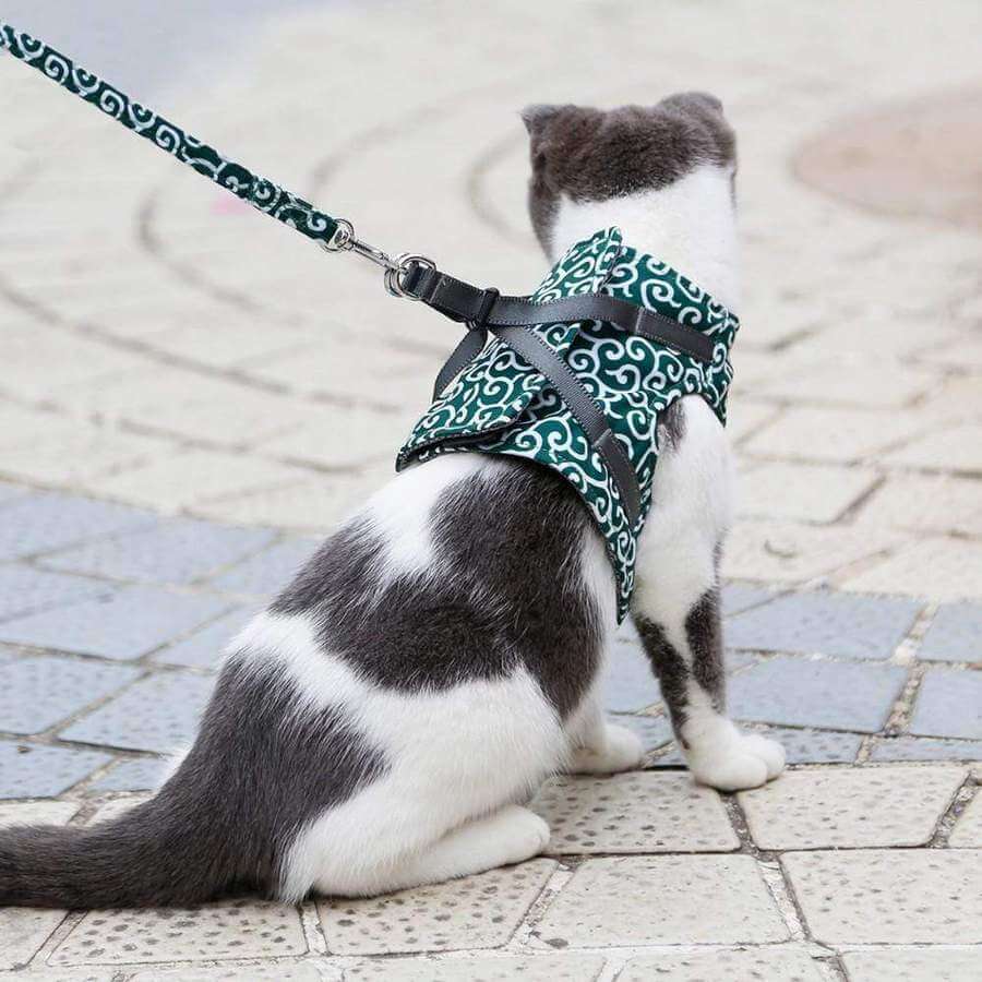Adjustable Cat Harness Vest Set with Leash for Safe Outdoor Walks