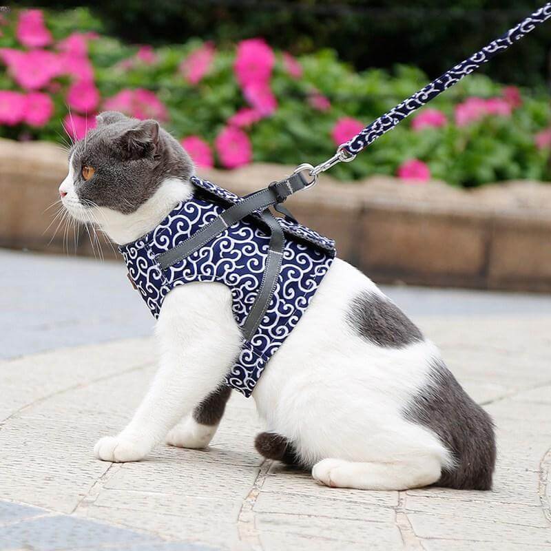 Adjustable Cat Harness Vest Set with Leash for Safe Outdoor Walks