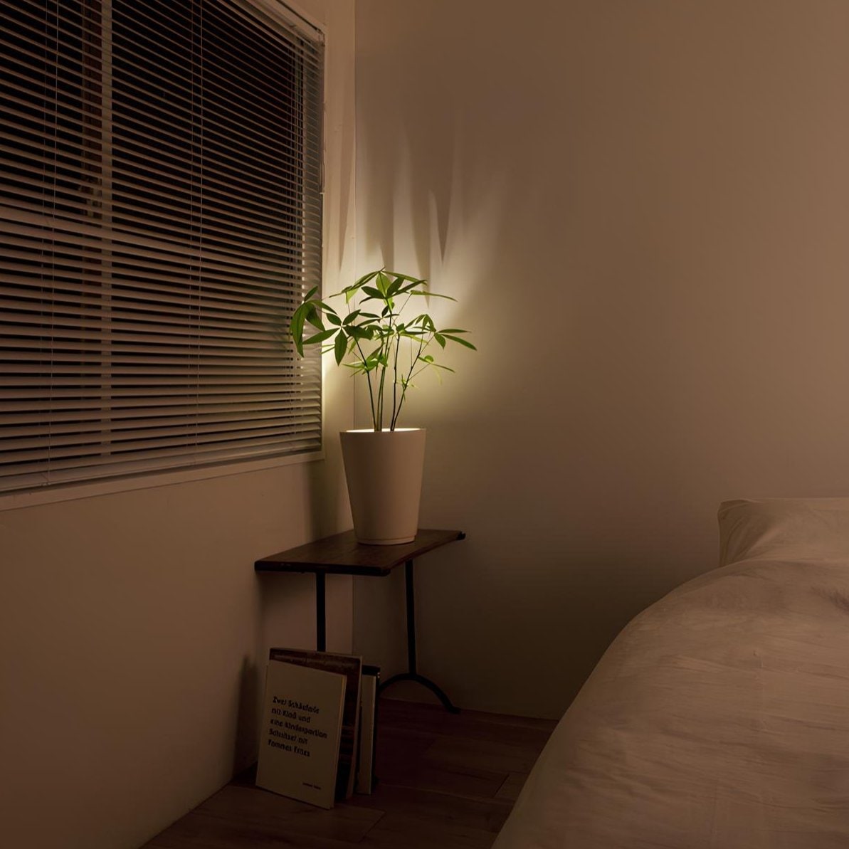 Battery Operated Wall Sconce Adjustable LED Spotlight Remote Control