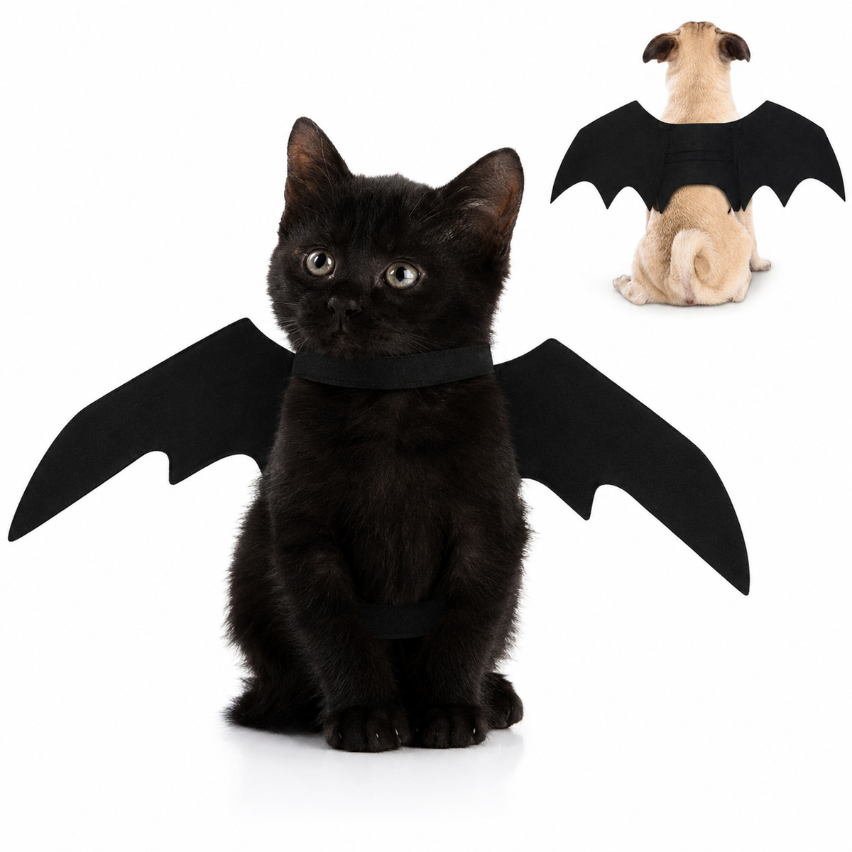 Black Bat Wings Pet Costume for Dogs and Cats Halloween Dress Up