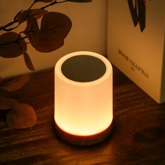 Dimmable Touch Night Lamp Modern LED Bedside Light