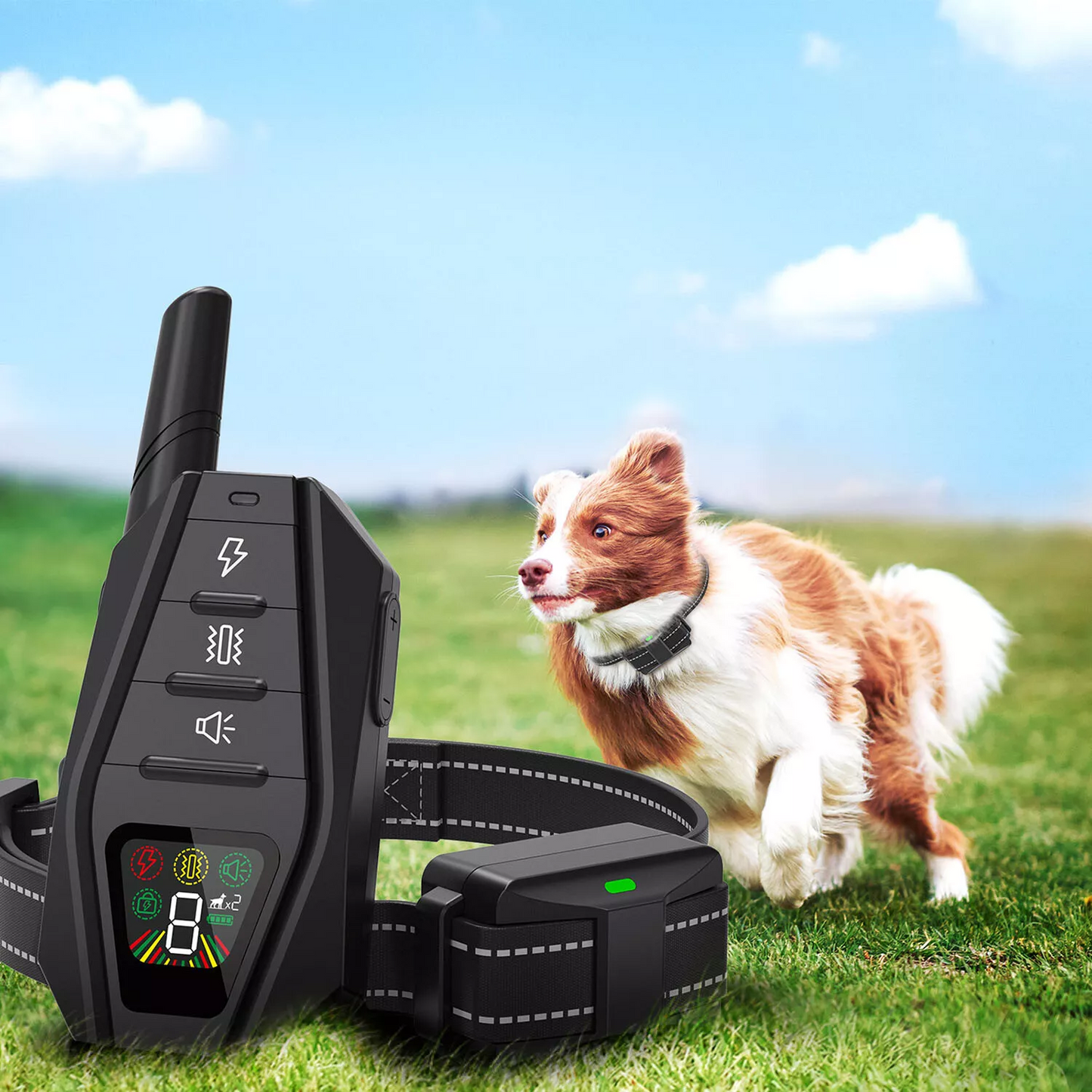 Dog Training Collar Remote Control Anti Bark Waterproof Adjustable