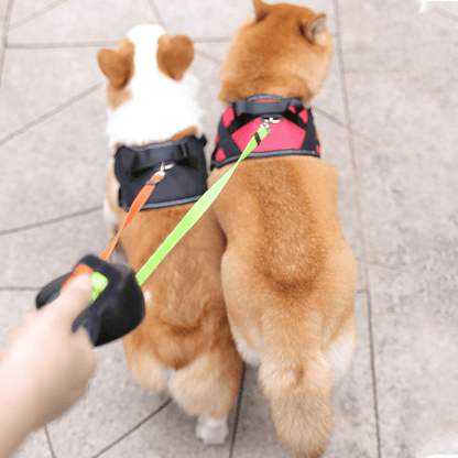 Double Dog Leash Retractable Dual Lead Anti Tangle LED Light