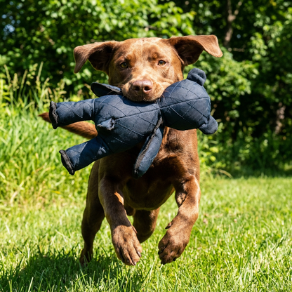 Durable Dog Chew Toy Interactive Tug Rope for Active Play