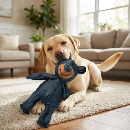 Durable Dog Chew Toy Interactive Tug Rope for Active Play