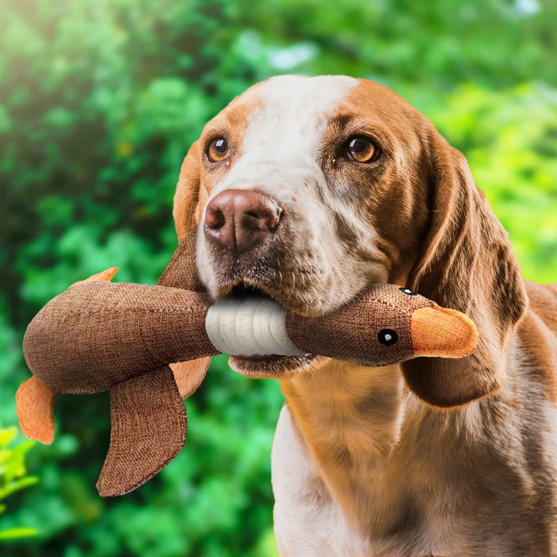 Durable Goose Dog Chew Toy Tough Interactive Pet Toy