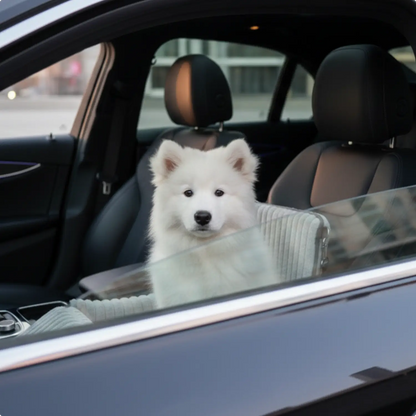 Elevated Dog Car Seat Booster for Small Pets Comfortable Travel Support