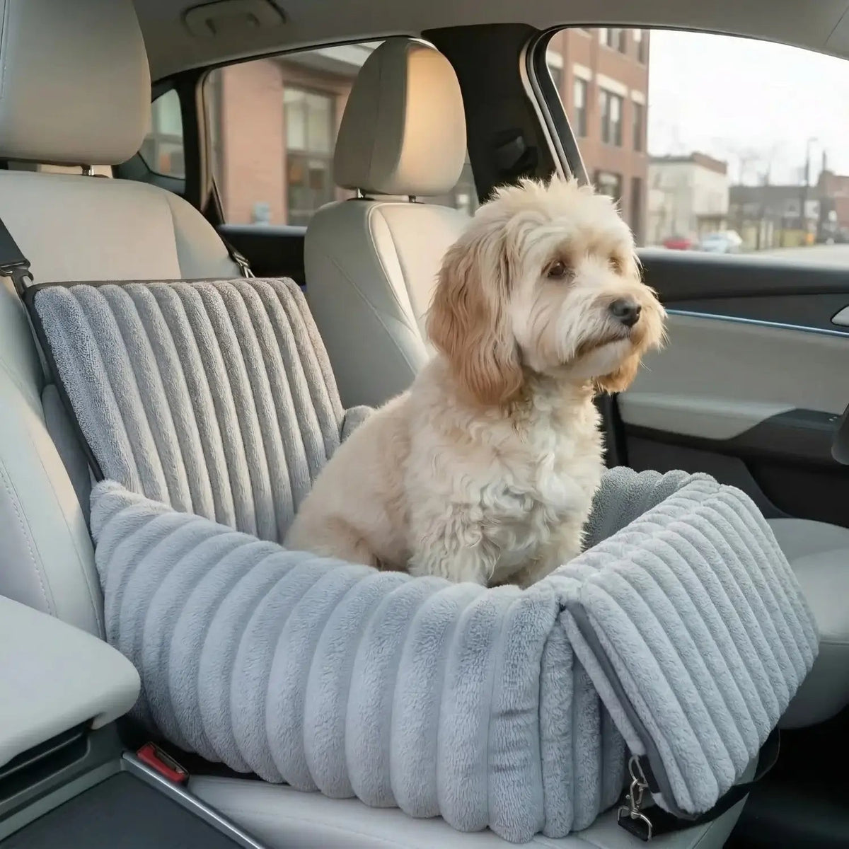 Elevated Dog Car Seat Booster for Small Pets Comfortable Travel Support