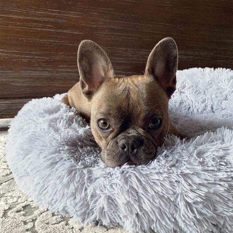Fluffy Calming Pet Bed Anti Anxiety Plush Dog Cushion