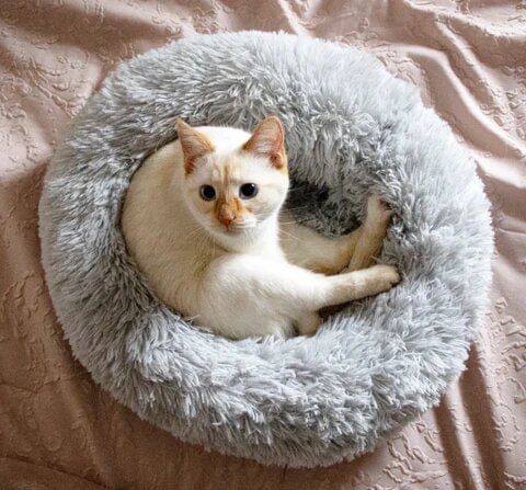 Fluffy Calming Pet Bed Anti Anxiety Plush Dog Cushion