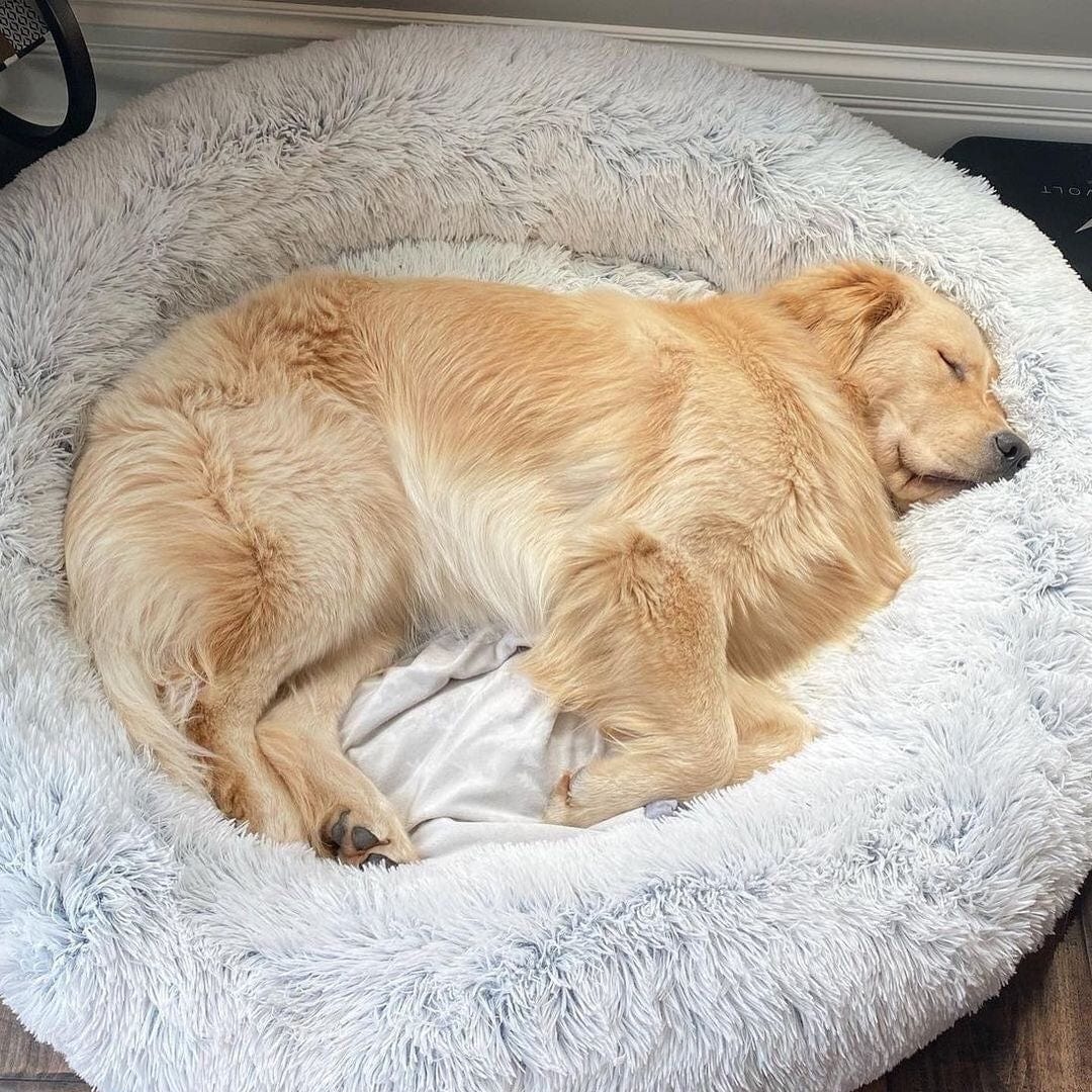 Fluffy Calming Pet Bed Anti Anxiety Plush Dog Cushion