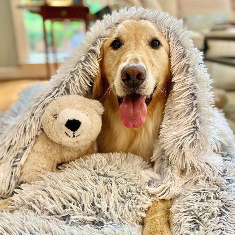 Fluffy Soft Pet Blanket for Cozy Resting and Lounging