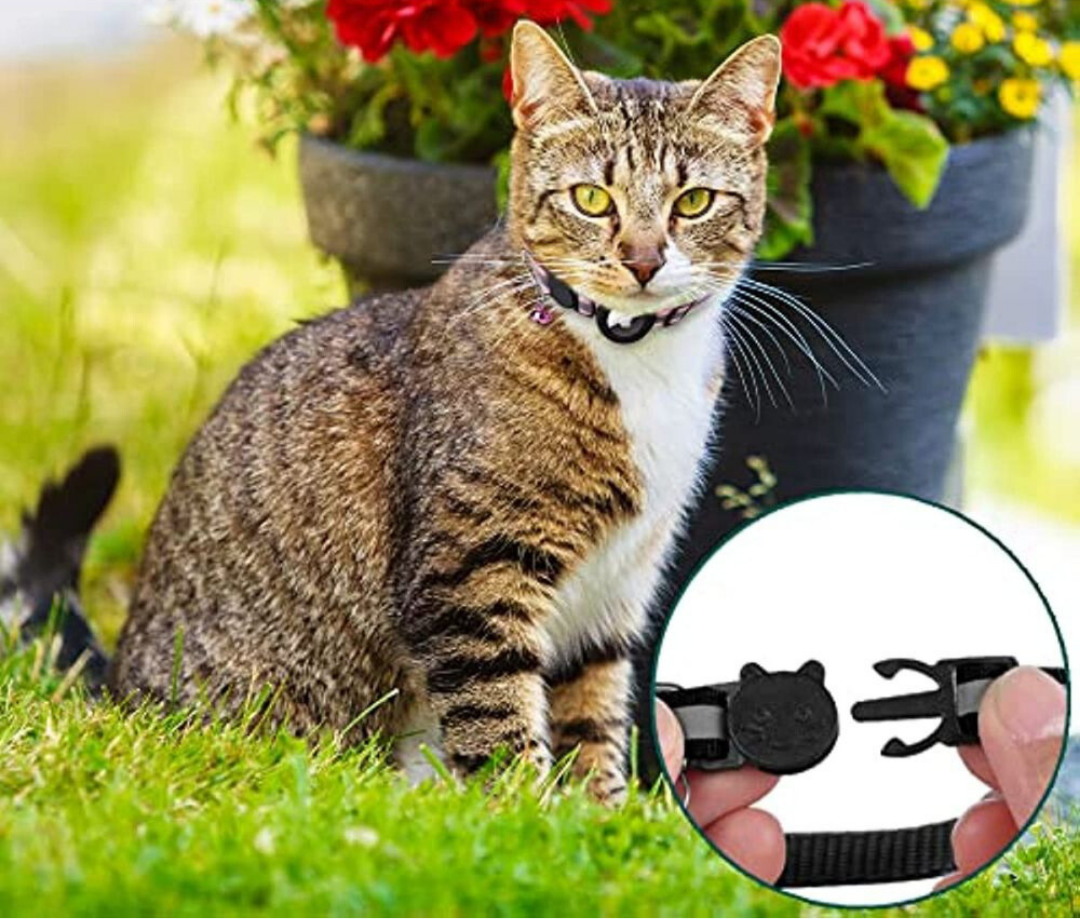 GPS Cat Collar Reflective Adjustable Safety Breakaway Collar