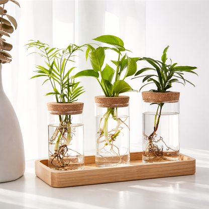 Glass Plant Propagation Vase Minimalist Hydroponic Planter