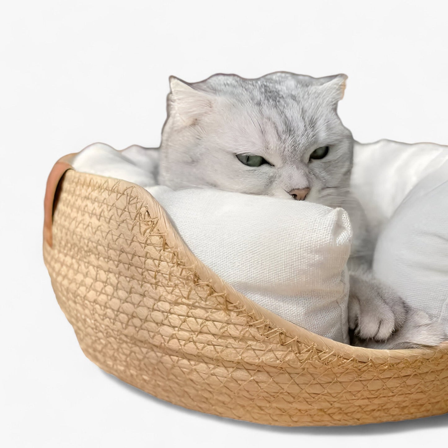 Handwoven Bamboo Pet Bed Cat Puppy Small Dog Basket