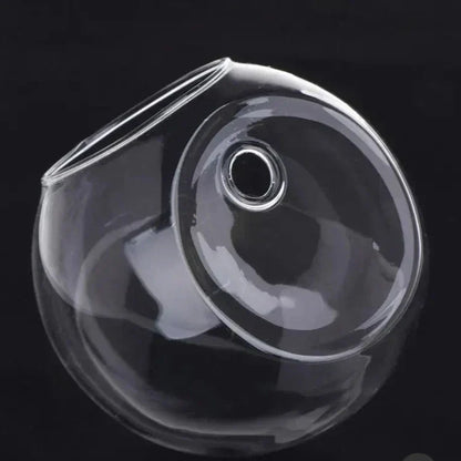 Hanging Hydroponic Glass Vase Floating Plant Flower Display