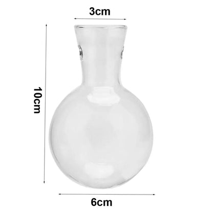 Hydroponic Plant Pot Glass Vase With Wooden Stand Indoor Plant Holder Tabletop Planter