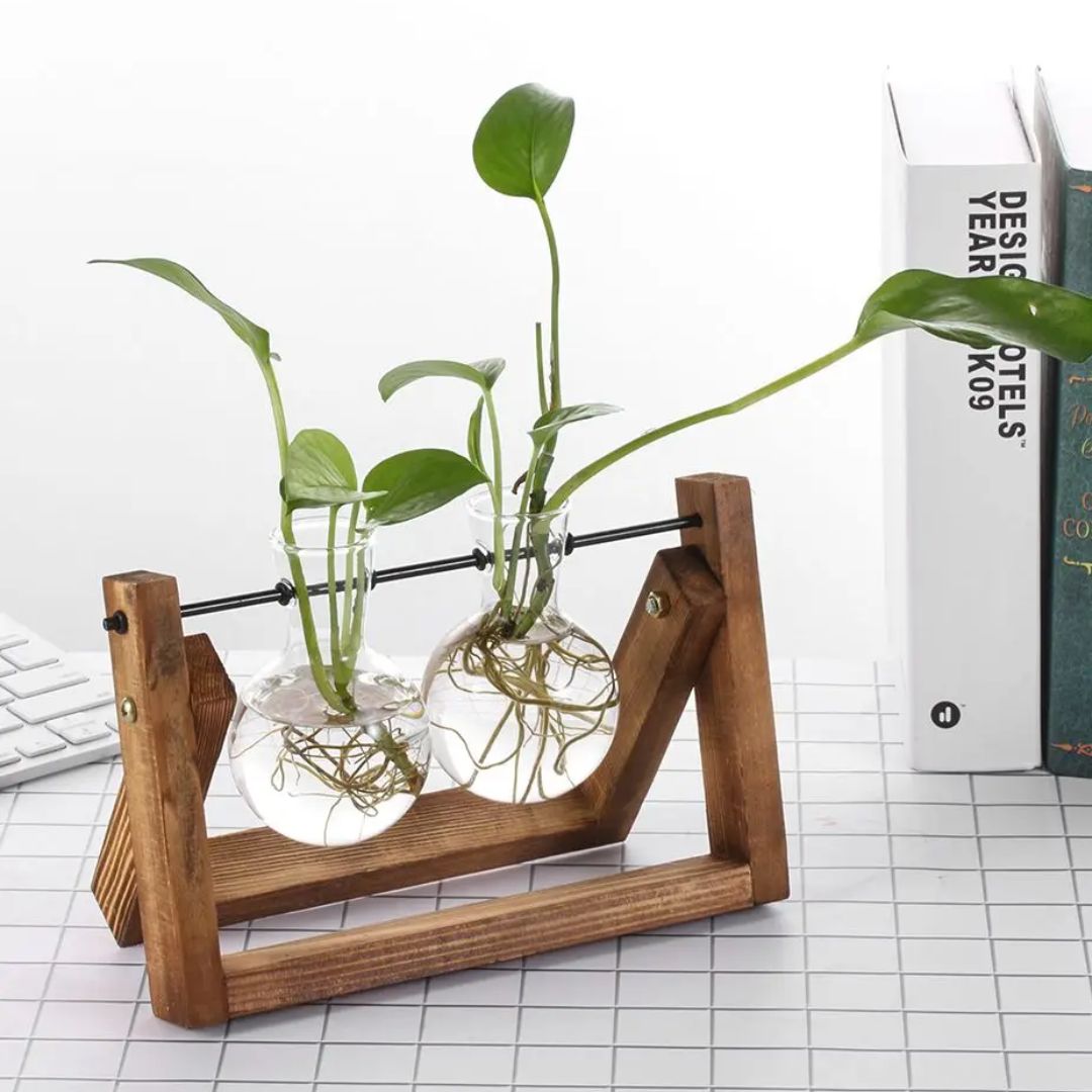 Hydroponic Plant Pot Glass Vase With Wooden Stand Indoor Plant Holder Tabletop Planter