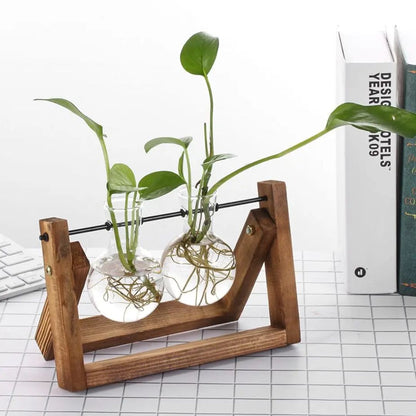 Hydroponic Plant Pot Glass Vase With Wooden Stand Indoor Plant Holder Tabletop Planter