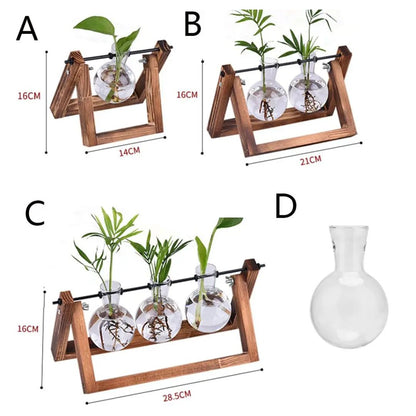 Hydroponic Plant Pot Glass Vase With Wooden Stand Indoor Plant Holder Tabletop Planter