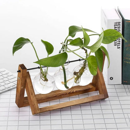 Hydroponic Plant Pot Glass Vase With Wooden Stand Indoor Plant Holder Tabletop Planter