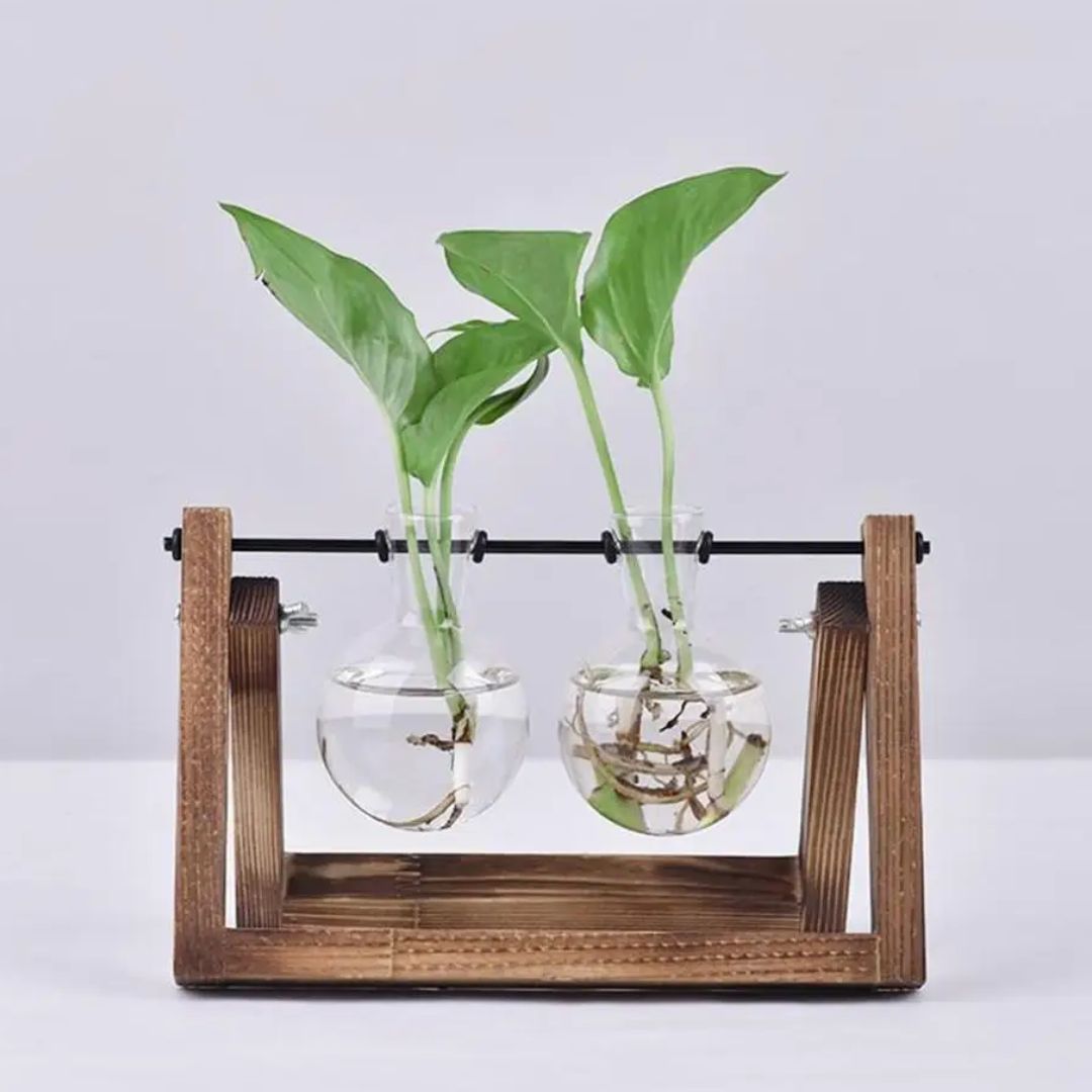 Hydroponic Plant Pot Glass Vase With Wooden Stand Indoor Plant Holder Tabletop Planter