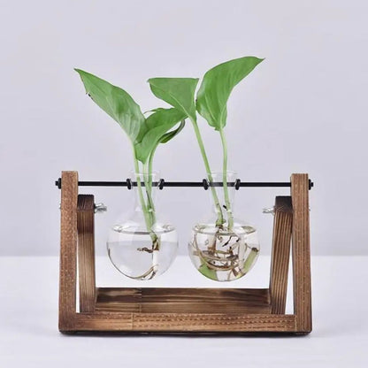 Hydroponic Plant Pot Glass Vase With Wooden Stand Indoor Plant Holder Tabletop Planter