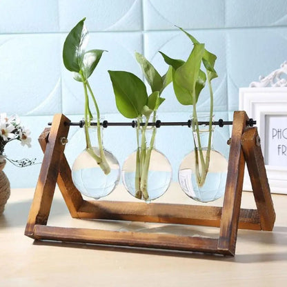 Hydroponic Plant Pot Glass Vase With Wooden Stand Indoor Plant Holder Tabletop Planter