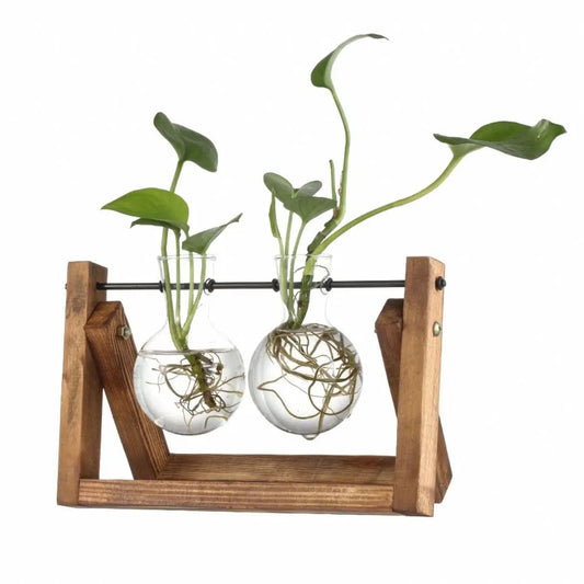 Hydroponic Plant Pot Glass Vase With Wooden Stand Indoor Plant Holder Tabletop Planter