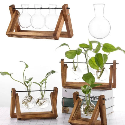 Hydroponic Plant Pot Glass Vase With Wooden Stand Indoor Plant Holder Tabletop Planter