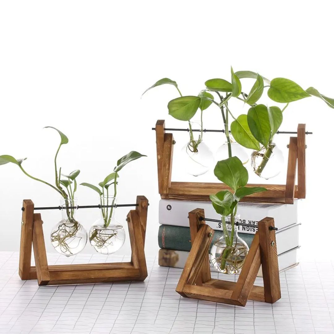 Hydroponic Plant Pot Glass Vase With Wooden Stand Indoor Plant Holder Tabletop Planter
