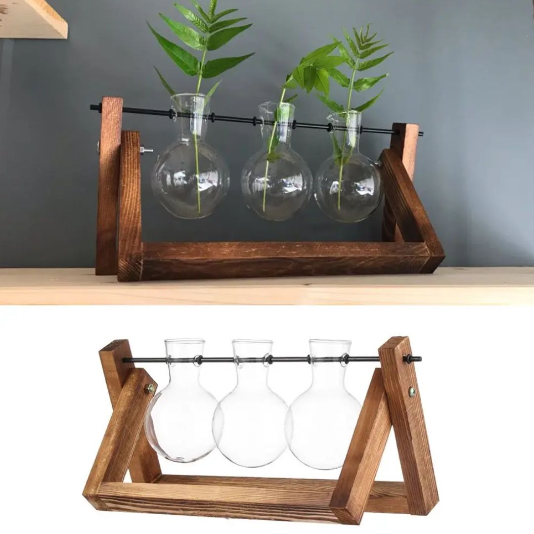 Hydroponic Plant Pot Glass Vase With Wooden Stand Indoor Plant Holder Tabletop Planter