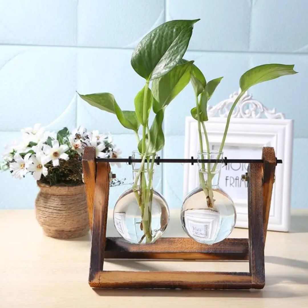 Hydroponic Plant Pot Glass Vase With Wooden Stand Indoor Plant Holder Tabletop Planter