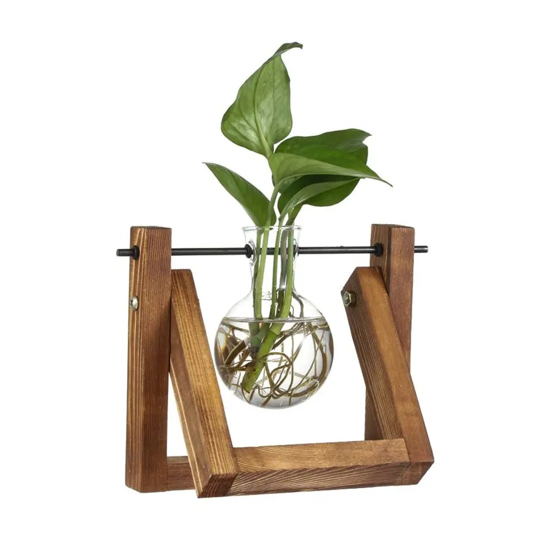 Hydroponic Plant Pot Glass Vase With Wooden Stand Indoor Plant Holder Tabletop Planter