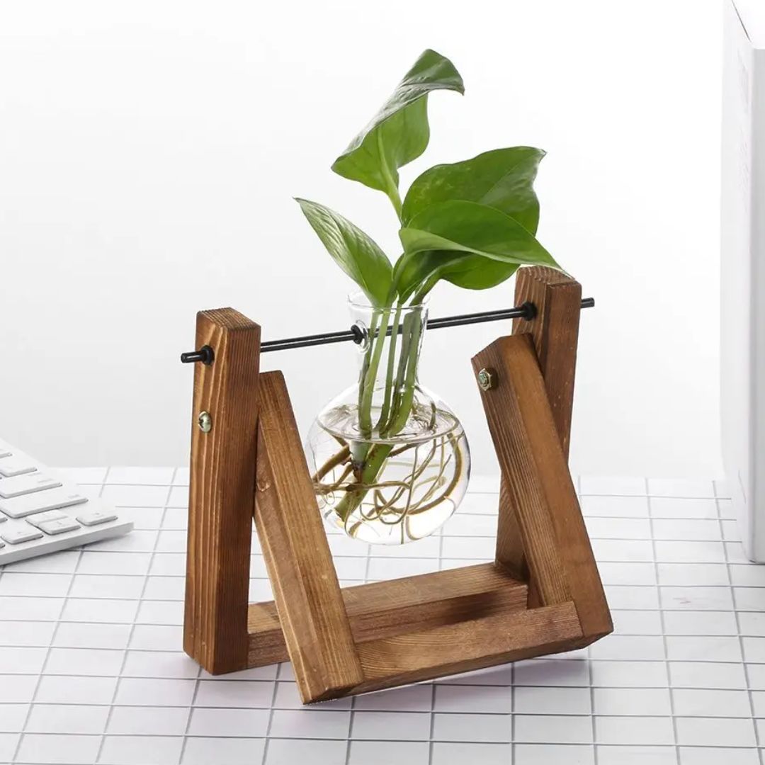 Hydroponic Plant Pot Glass Vase With Wooden Stand Indoor Plant Holder Tabletop Planter