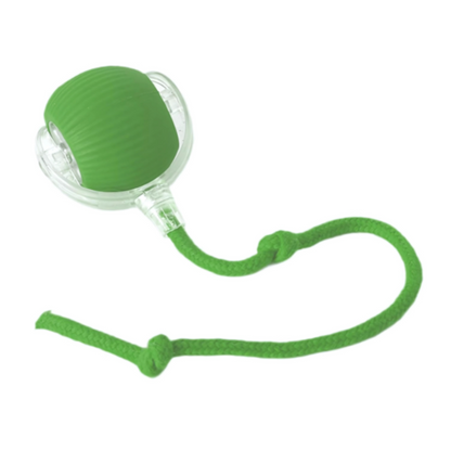 Interactive Dog Chew Ball for Mental Stimulation and Active Play