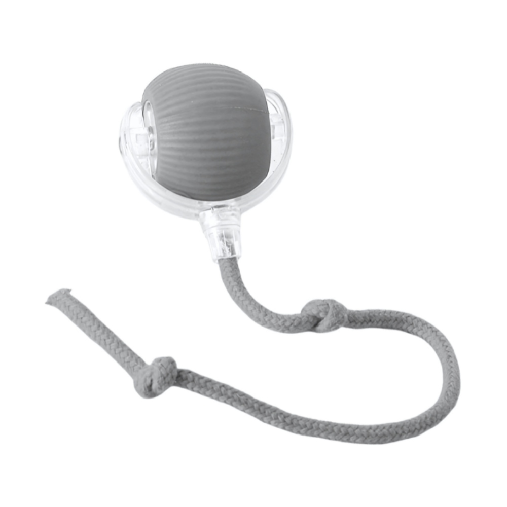 Interactive Dog Chew Ball for Mental Stimulation and Active Play