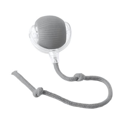 Interactive Dog Chew Ball for Mental Stimulation and Active Play