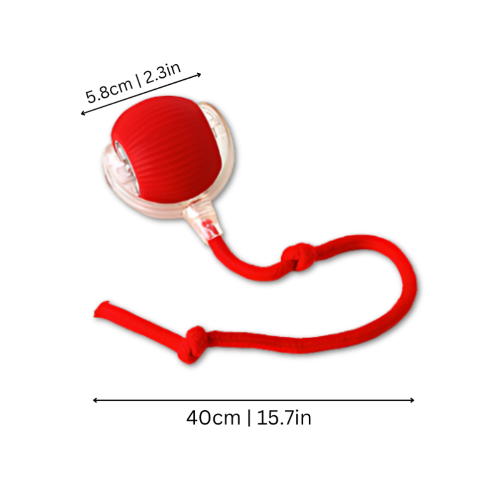 Interactive Dog Chew Ball for Mental Stimulation and Active Play