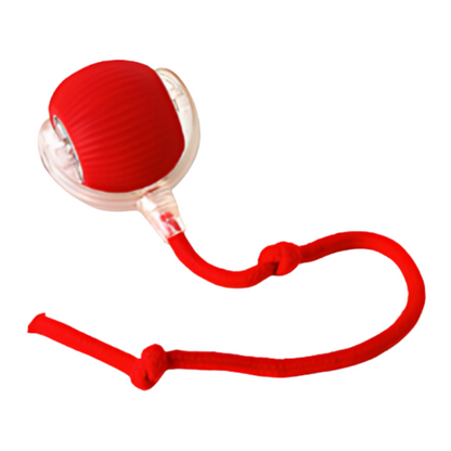 Interactive Dog Chew Ball for Mental Stimulation and Active Play
