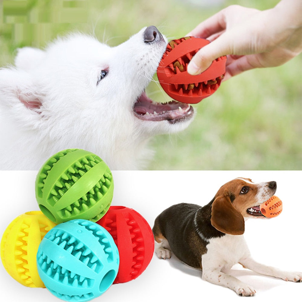 Interactive Dog and Cat Chew Toy Durable Fun Healthy Pet Toy