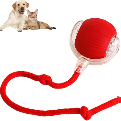 Interactive Pet Ball USB Rechargeable Dog Cat Toy