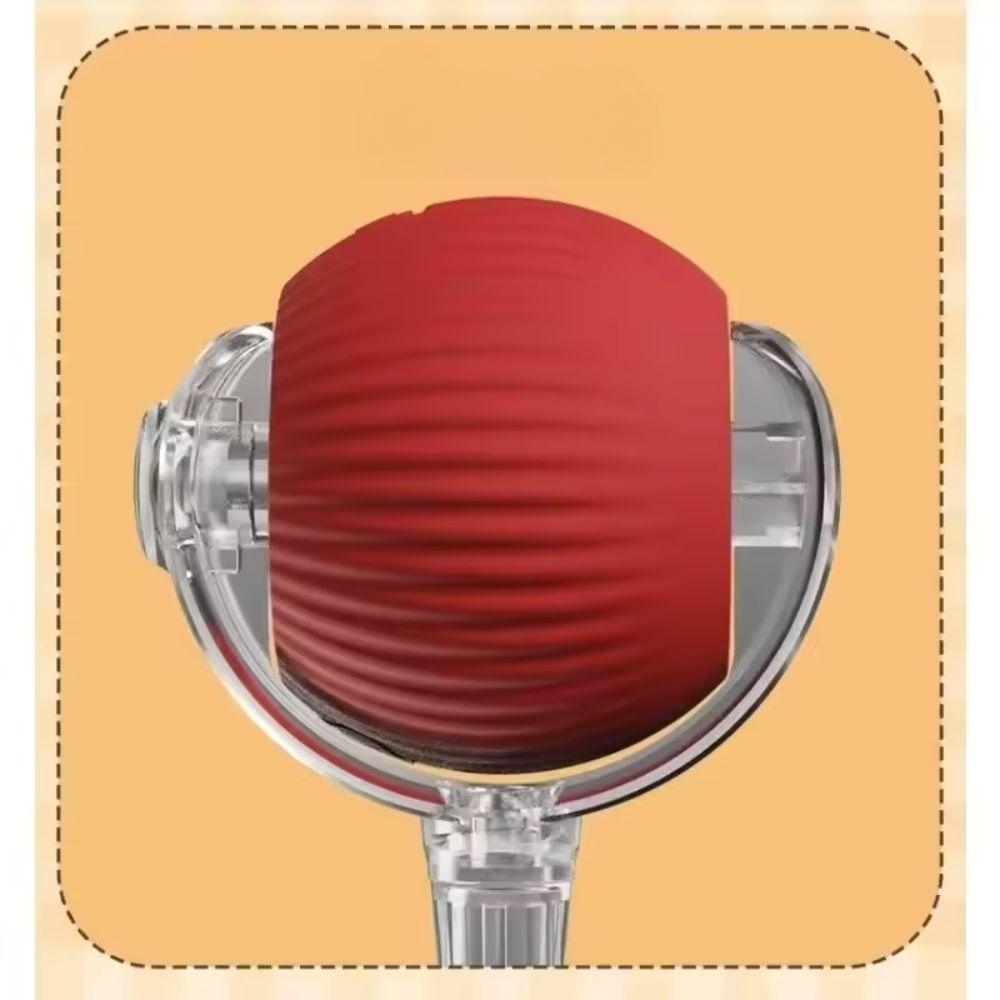 Interactive Pet Ball USB Rechargeable Dog Cat Toy