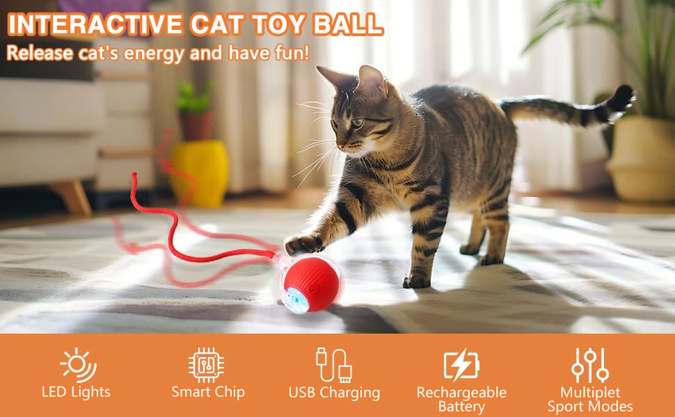 Interactive Pet Ball USB Rechargeable Smart Play Toy for Dogs and Cats